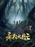 《奇妙的夜晚》